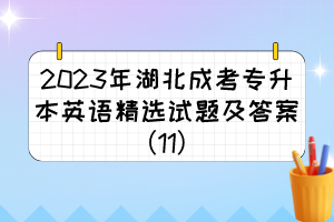 2023年湖北成考专升本英语精选试题及答案（11）